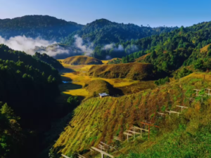 Hidden Travel Destinations in India