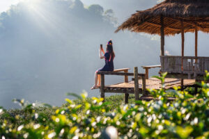 A traveler sits on a wooden viewing platform beside a traditional thatched hut, taking a photo of the misty mountains and lush green tea plantation illuminated by soft morning sunlight.