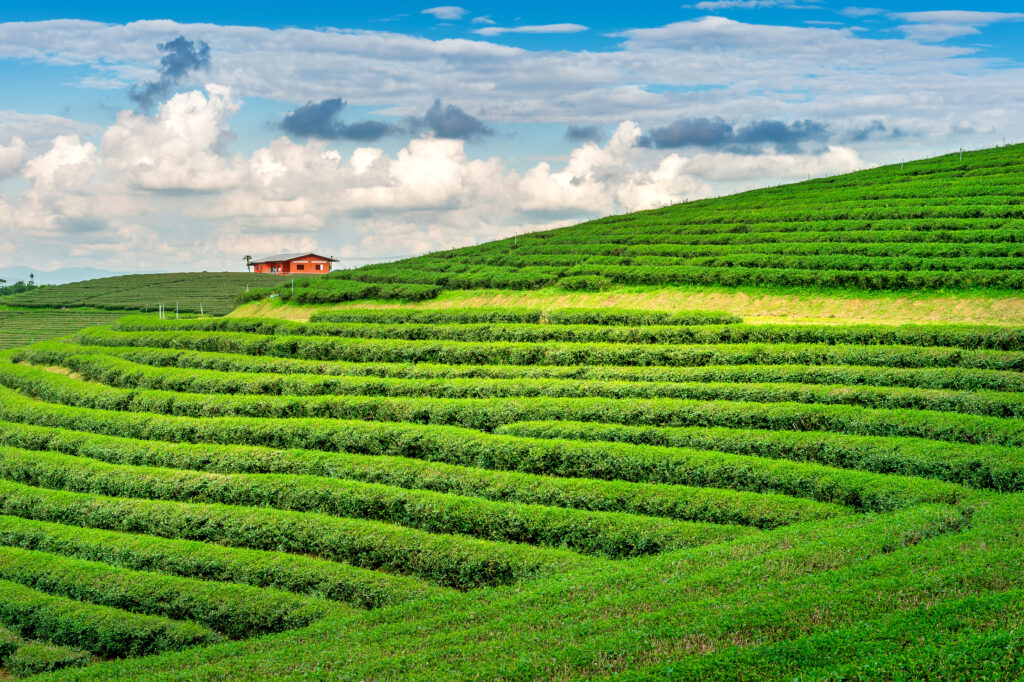 Kerala hidden gems