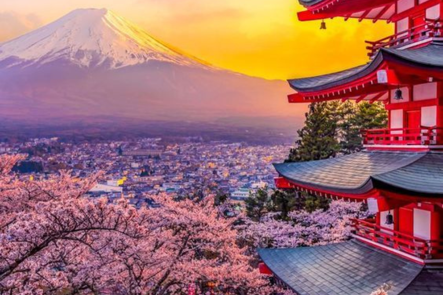 Cherry blossoms in Tokyo during spring – Visit Japan 2025 travel guide